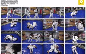 MF-FF30-Dafu VS Bjia