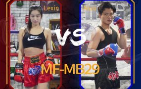 MF-MB29-Lexin VS Aluo