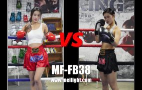 MF-FB38-Lexin VS Agan