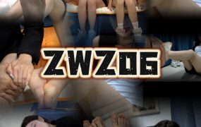 Z006 xiaomei VS xinyi