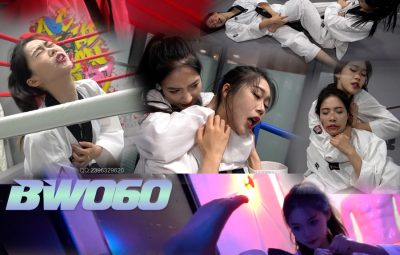 BW-060 xiaozhu vs haoyu