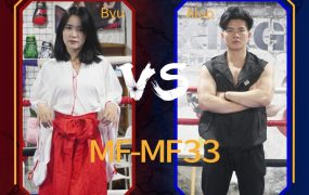 MF-MF33-Byu VS Aluo