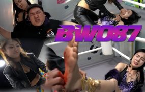 BW-087 xiaozhu vs xiaoyu