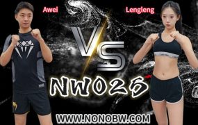 NW025-Awei VS Lengleng