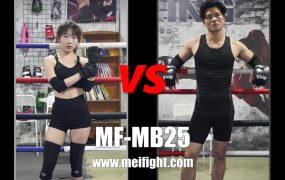MF-MB25-Yiyin VS Aluo