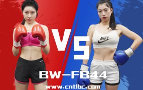 BW-FB44-Mei VS Aoxin