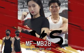 MF-MB28-Lexin VS 3