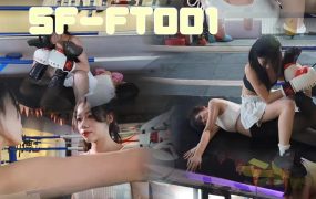 SF-FT001  LuLu  VS  nainai