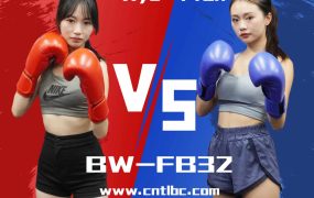 BW-FB32-Xye VS Ffan