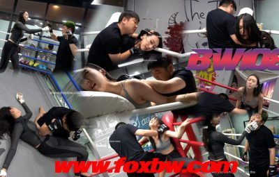 BW-108 qs vs zhaoyong