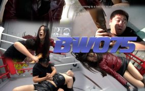 BW-075 zhaoyong vs mingxi