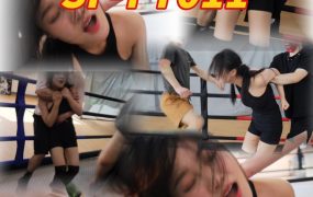 SF-FT011 yibao VS 3mans