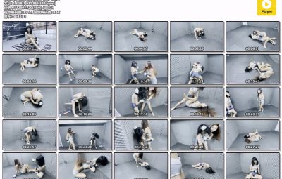 智茂美女搏击赛（上）